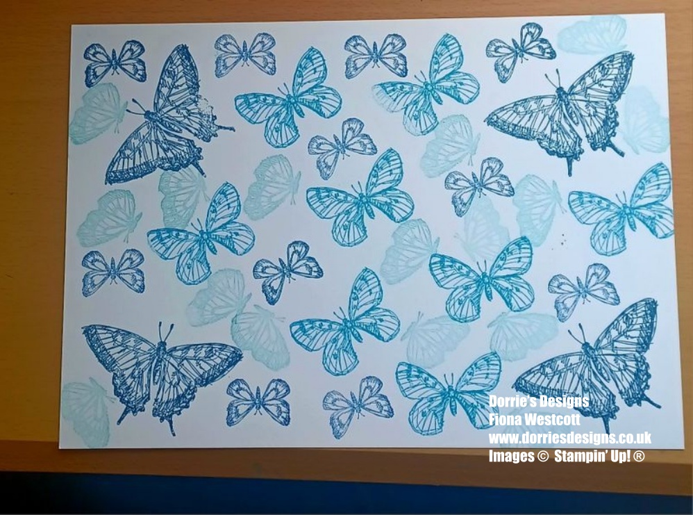 One sheet wonder showing the butterflies for my Blue and White cards