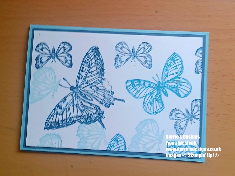 Blue and white greeting card with butterflies stamped in blue