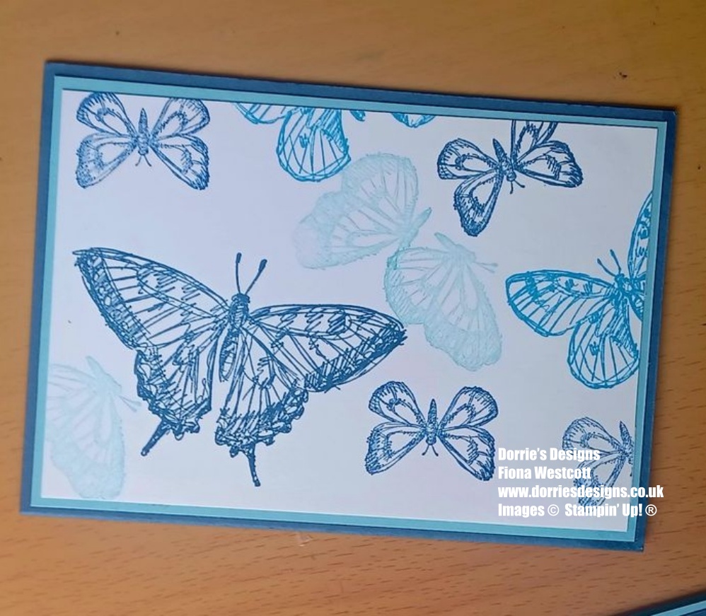 Blue and white greeting card with butterflies stamped in blue