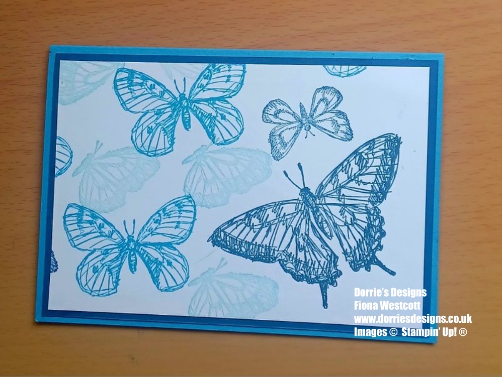 Blue and white greeting card with butterflies stamped in blue