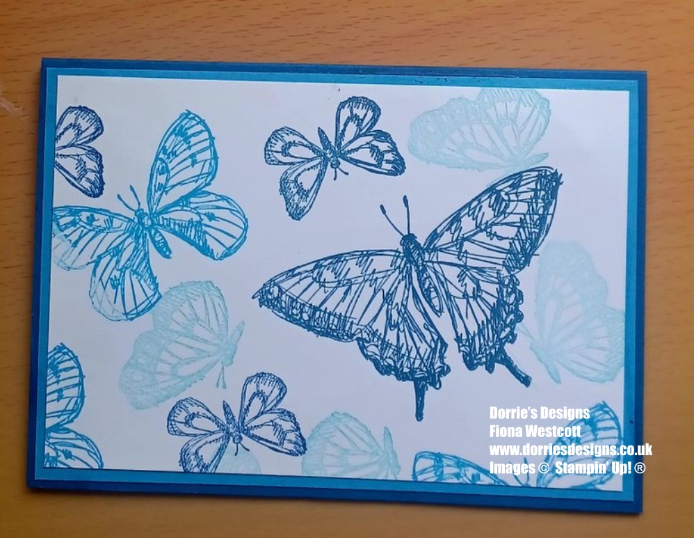 Blue and white greeting card with butterflies stamped in blue