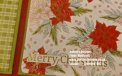 How I made Two Book Binding fancy fold Christmas cards
